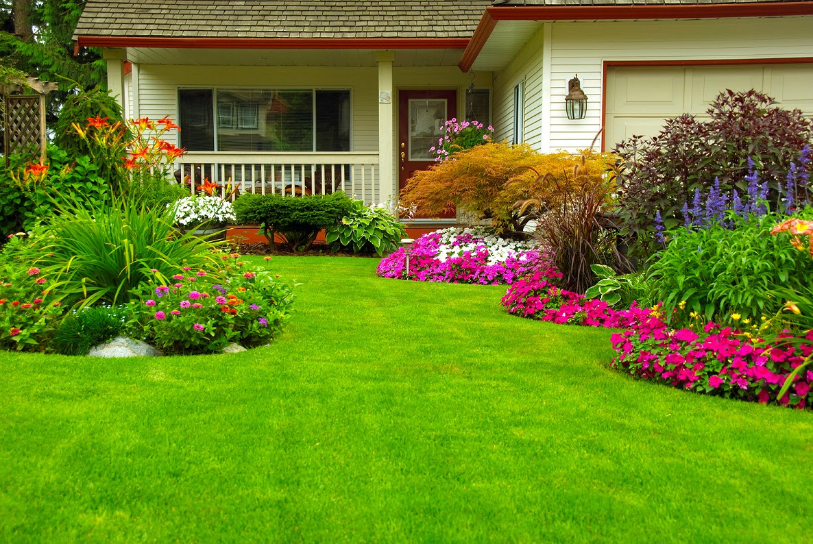 beautifully landscaped home for curb appeal